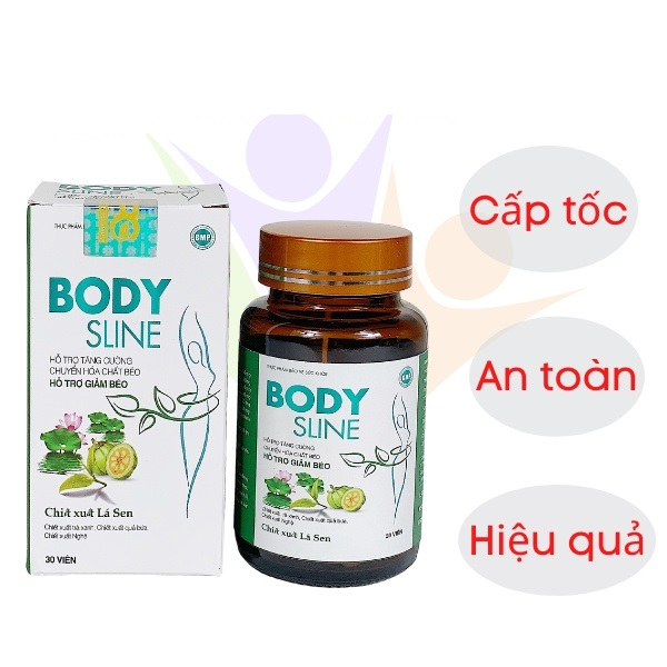 Giới thiệu về Body Sline